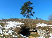 bird-stove-cave-cave-cave-entrance-95186.jpg