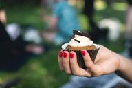 chocolate-cupcake-icing-food-993327.jpg