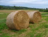 straw-field-agriculture-landscape-244240.jpg