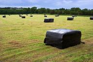 straw-bale-field-meadow-grass-15273.jpg