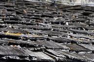 roof-shingle-wood-shingle-468125.jpg