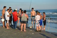 group-of-people-shark-sea-summer-1000146.jpg