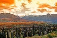 alaska-landscape-scenic-forest-122713.jpg