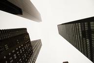 new-york-skyline-landscape-1605182.jpg