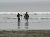 ocean-beach-surf-surfing-sports-172980.jpg