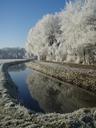 winter-mirror-trees-water-610234.jpg