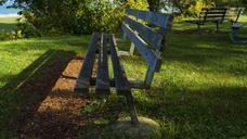 bench-sunlight-grass-autumn-481068.jpg