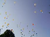 balloons-sky-competition-272897.jpg