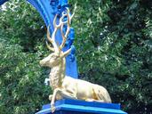 deer-gold-blue-port-stockholm-1006094.jpg