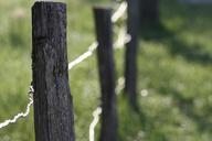 fence-fence-posts-country-field-639525.jpg