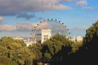 london-eye-london-eye-england-736307.jpg