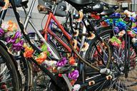 bicycle-cycling-transport-street-252684.jpg