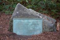 Founders Tree plaque - Humboldt Redwoods State Park - DSC02484.JPG