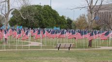 memorial-flags-united-states-101949.jpg