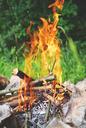 fire-campfire-flame-burn-wood-842312.jpg