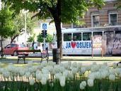 osijek-croatia-tram-city-street-667212.jpg