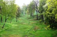 ravine-green-spring-grass-trees-181050.jpg