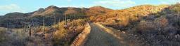 Saguaro National Park Panorama.jpg