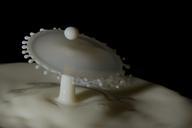 milk-white-droplets-splashing-219720.jpg