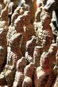 terracotta-warrior-china-xian-1028106.jpg