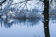 winter-landscape-snow-cold-tree-668602.jpg