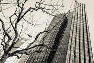 skyscrapers-architecture-business-456760.jpg