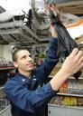 US_Navy_101018-N-5016P-237_Ship's_Serviceman_3rd_Class_Charles_Mitchell_hangs_Halloween_decorations_in_the_ship's_store_aboard_the_guided-missile_c.jpg