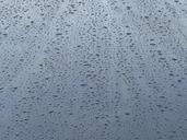 raindrop-run-off-rain-wet-shine-80160.jpg