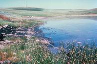 Oil spill into wetlands.jpg