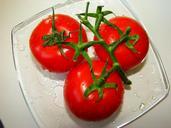 tomatoes-vegetables-252563.jpg