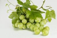 grapes-green-fruit-fresh-bunch-582207.jpg