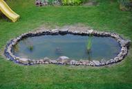 pond-garden-water-84855.jpg