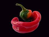 pepper-vegetable-fresh-healthy-14910.jpg