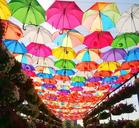 umbrella-park-colorful-outdoor-447908.jpg