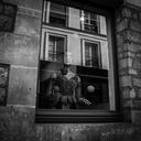 paris-street-showcase-light-880746.jpg