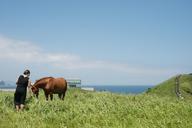 jeju-island-landscape-sea-jeju-1193283.jpg