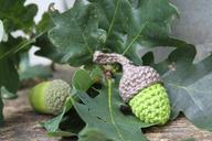 acorn-hooks-crochet-diy-1009195.jpg