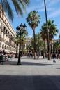 barcelona-place-view-palm-tree-489134.jpg