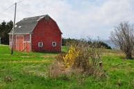 red-barn-rural-weathered-1251577.jpg