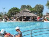 swimming-pool-water-swim-102146.jpg