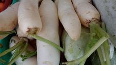 radish-vegetables-fresh-food-435465.jpg