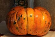 squash-porcelain-vegetables-orange-1017721.jpg