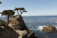 pebble-beach-shoreline-california-1650693.jpg