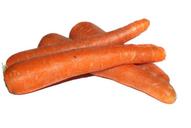 carrots-carrot-plant-isolated-1694087.jpg