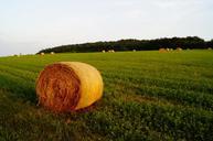 straw-bale-field-meadow-agriculture-879971.jpg