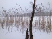 lake-winter-ice-snow-landscape-171581.jpg