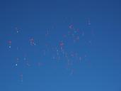 balloons-fly-wedding-693790.jpg