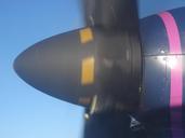 propeller-plane-sky-488656.jpg