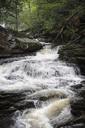 Waterfalls-in-Ricketts-Glen-State-Park.jpg