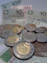 coins-euro-banknotes-money-pay-521523.jpg